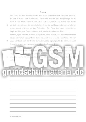 Puma.pdf